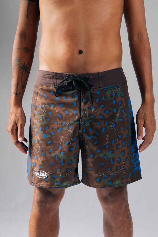 Alima x WSH in Brown