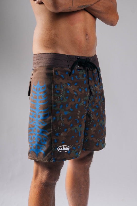 Alima x WSH in Brown